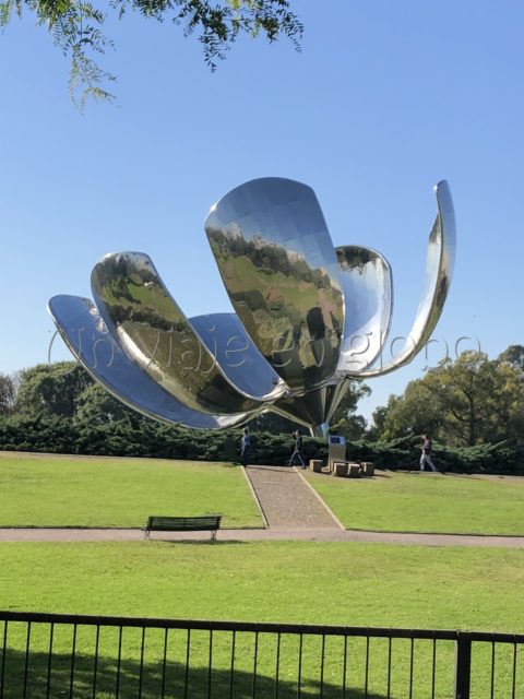 La flor de Palermo Buenos Aires