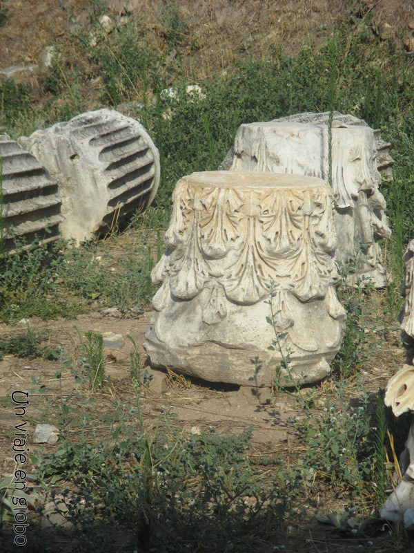Restos de columnas Afrodisias