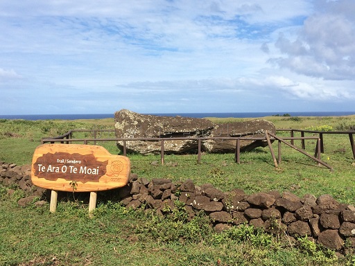 Ara O Te Moái o Camino de los moáis Isla de Pascua
