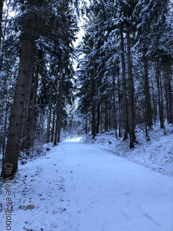 Camino Castillo de Neuschwanstein