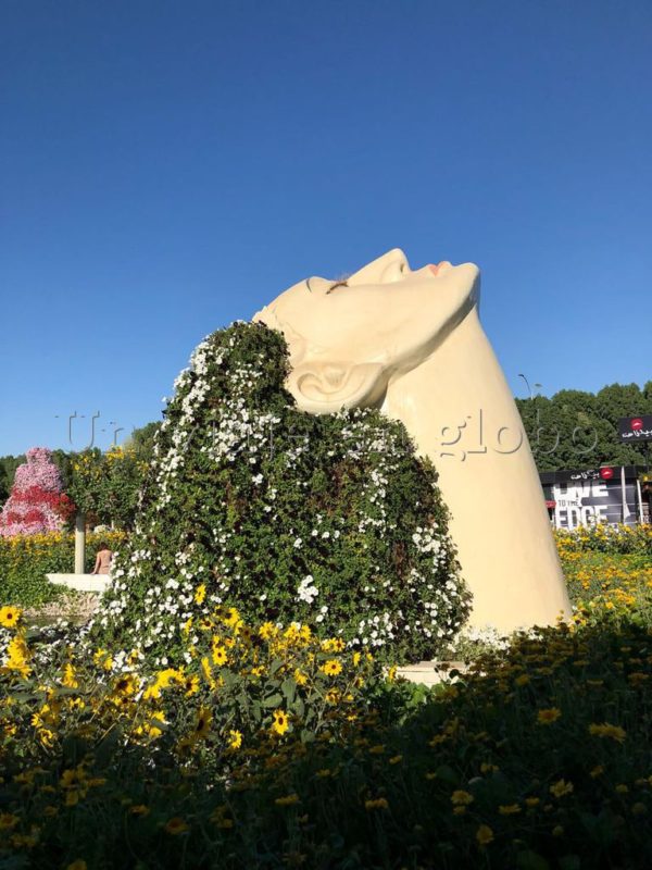 Dubai Miracle garden