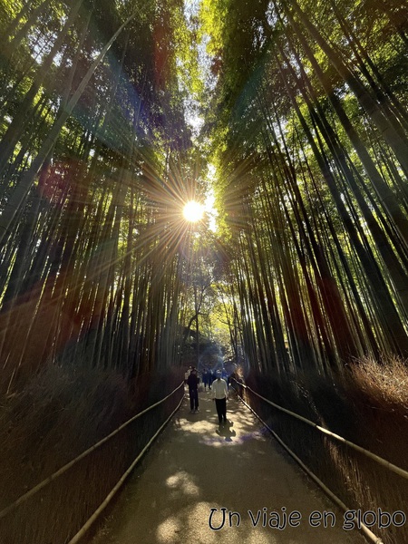 Bosque de Bambú de Arashiyama en Kyoto