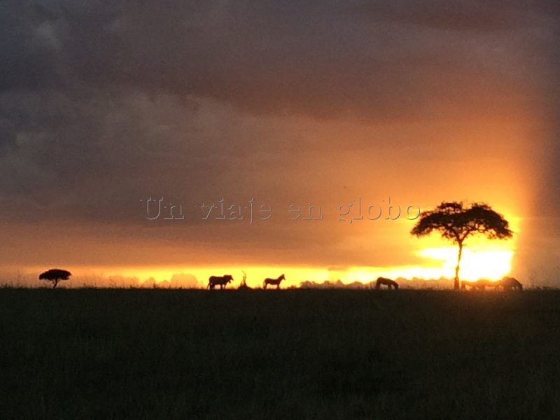 Amanecer Masai Mara