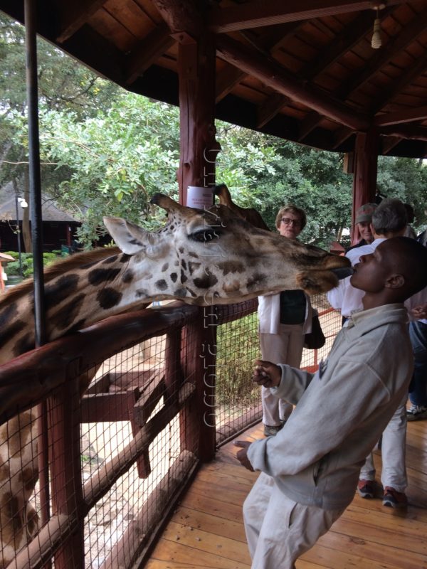 Giraffe Center, Kenia