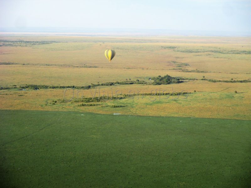 Un viaje en Globo por el Masai Mara