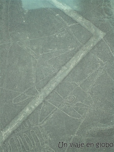 Lineas de Nazca