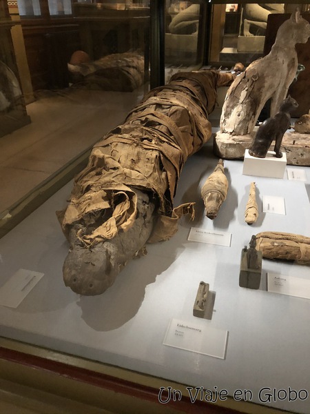 Cocodrilo momificado Museo de Historia del Arte - Kunsthistorisches Museum Wien