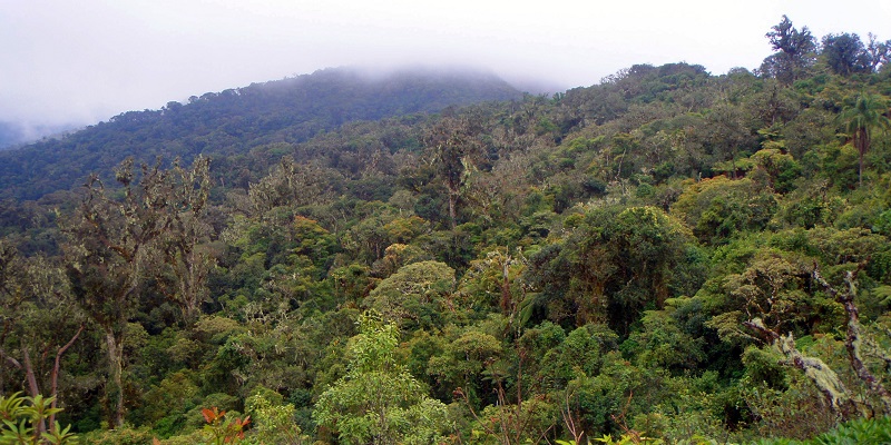 Parque Nacional Amboró Bolivia