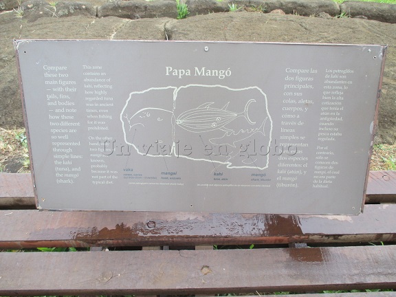 Petroglifos Papa Vaka - Isla de Pascua