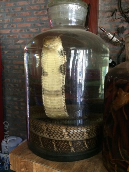 Licor de serpiente Mercado de Sapa