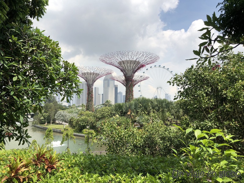 Vistas de Dragonfly Bridge, un imprescindible que ver en Singapur