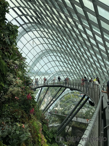 Gardens by the Bay Cloud forest