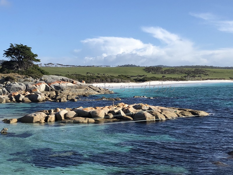 Bahía de Fuego Tasmania Australia