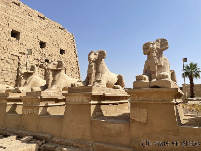 Esfinge cabeza de Carnero, Templo de Karnak