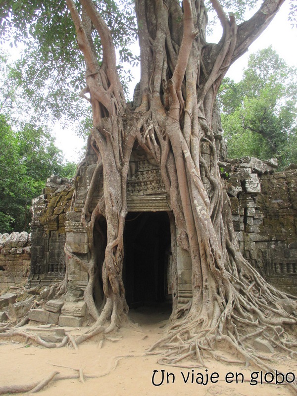 Templo de Ta Prohm