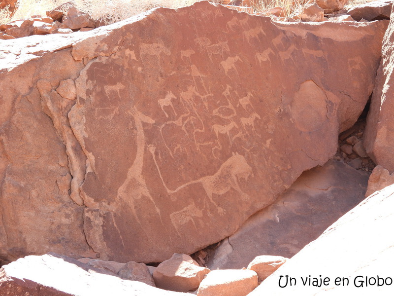 Leon Petroglifos en twyfelfontein Namibia